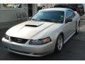 2000 Silver Metallic Ford Mustang GT Coupe  photo #9
