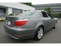 2010 Space Grey Metallic BMW 5 Series 528i xDrive Sedan  photo #3