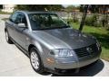Stonehenge Grey Metallic - Passat GLS Sedan Photo No. 17