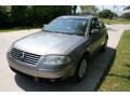 Stonehenge Grey Metallic - Passat GLS Sedan Photo No. 18