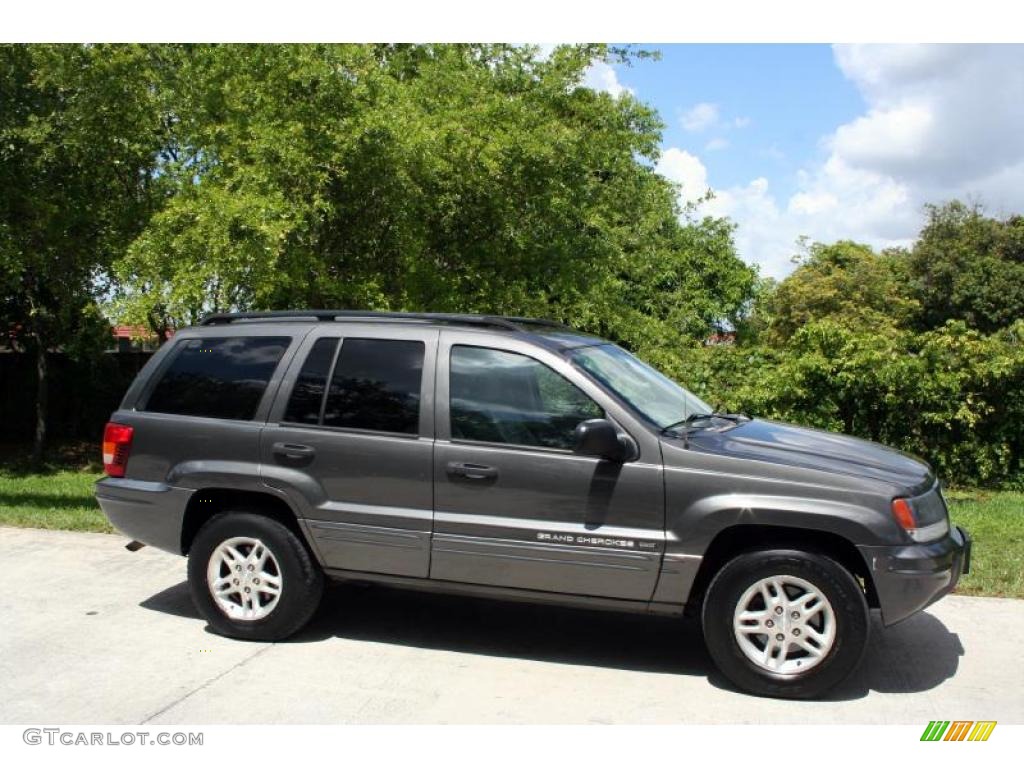2004 Grand Cherokee Laredo 4x4 - Graphite Metallic / Dark Slate Gray photo #11
