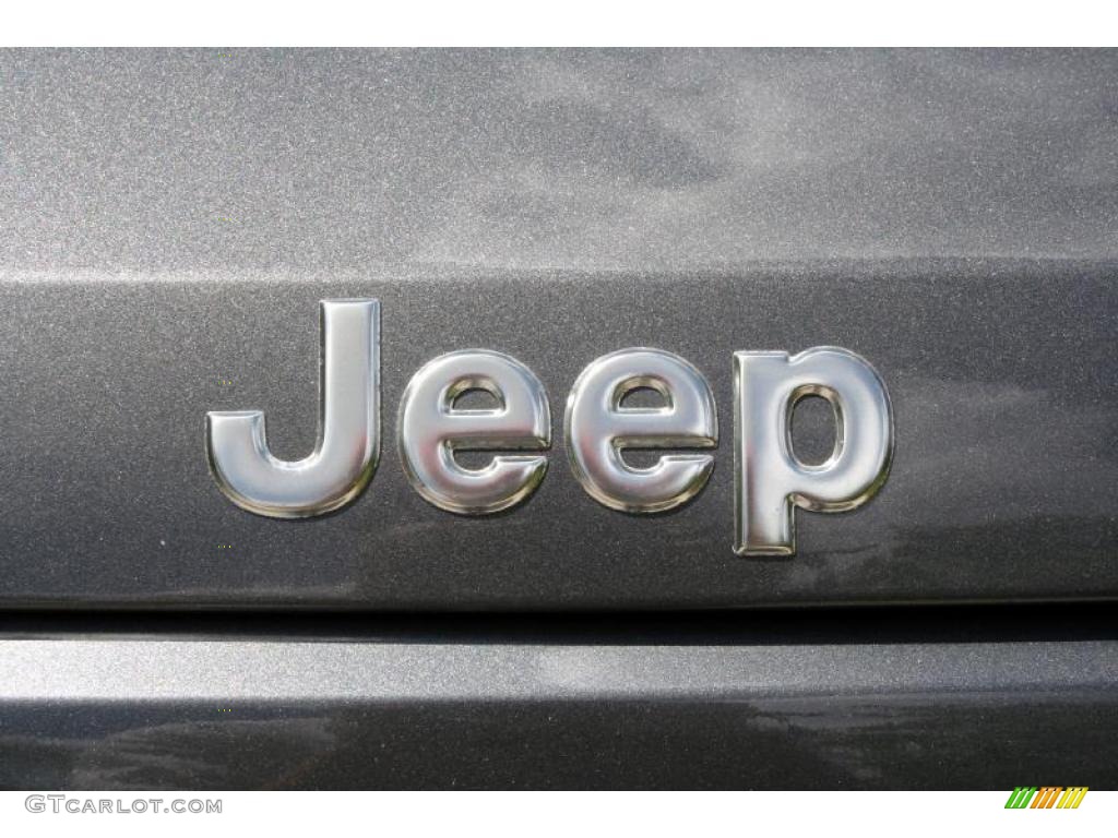 2004 Grand Cherokee Laredo 4x4 - Graphite Metallic / Dark Slate Gray photo #25