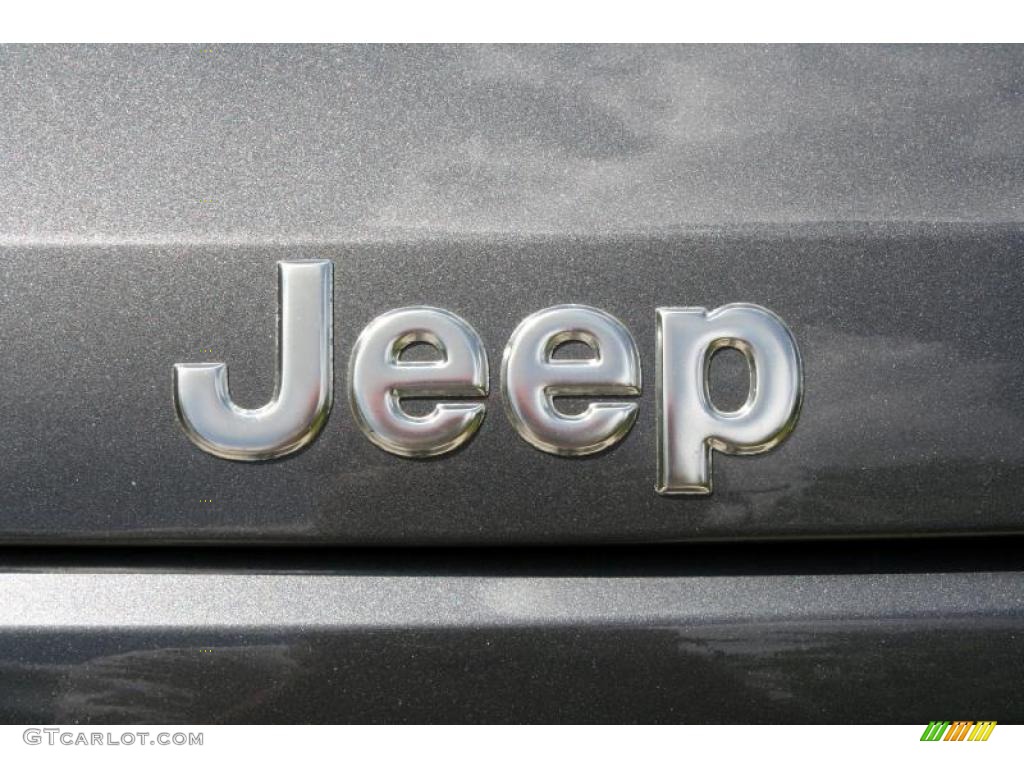 2004 Grand Cherokee Laredo 4x4 - Graphite Metallic / Dark Slate Gray photo #26