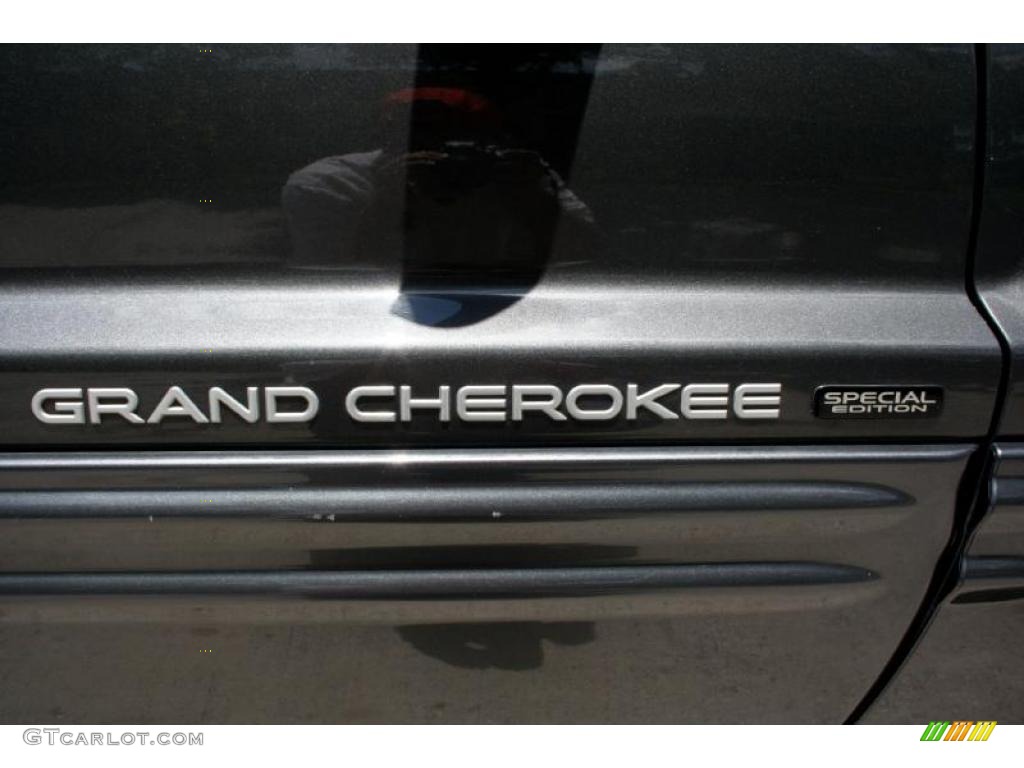 2004 Grand Cherokee Laredo 4x4 - Graphite Metallic / Dark Slate Gray photo #47