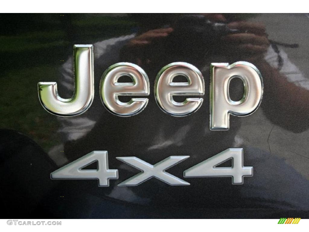 2004 Grand Cherokee Laredo 4x4 - Graphite Metallic / Dark Slate Gray photo #84