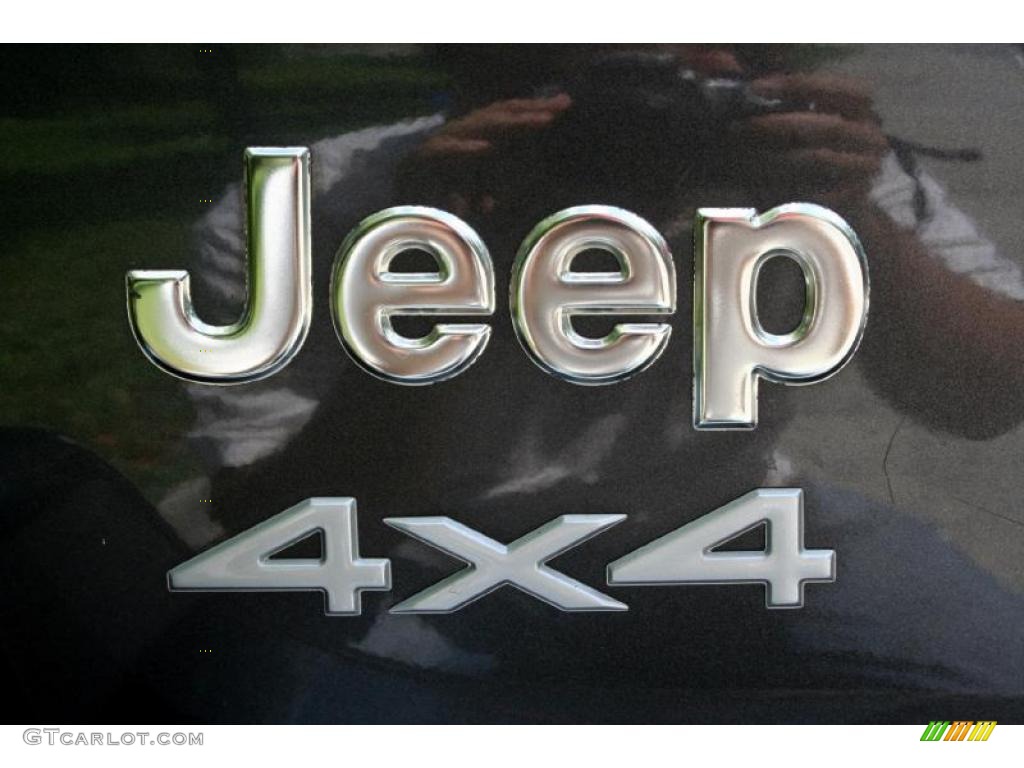 2004 Grand Cherokee Laredo 4x4 - Graphite Metallic / Dark Slate Gray photo #85