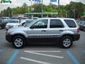 2006 Dark Shadow Grey Metallic Ford Escape XLT V6 4WD  photo #6