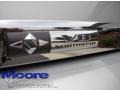 Light Platinum Metallic - DTS  Photo No. 20
