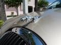 Topaz Metallic - S-Type 3.0 Photo No. 10