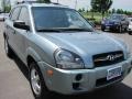 2008 Alpine Frost Hyundai Tucson GLS  photo #15