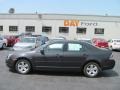 2007 Alloy Metallic Ford Fusion SE  photo #2