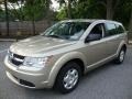 2009 Light Sandstone Metallic Dodge Journey SE  photo #2