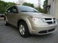 2009 Light Sandstone Metallic Dodge Journey SE  photo #5