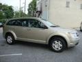 2009 Light Sandstone Metallic Dodge Journey SE  photo #6