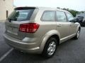 2009 Light Sandstone Metallic Dodge Journey SE  photo #7