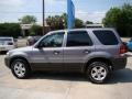 2007 Tungsten Grey Metallic Ford Escape XLT V6  photo #5