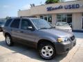 2007 Tungsten Grey Metallic Ford Escape XLT V6  photo #34