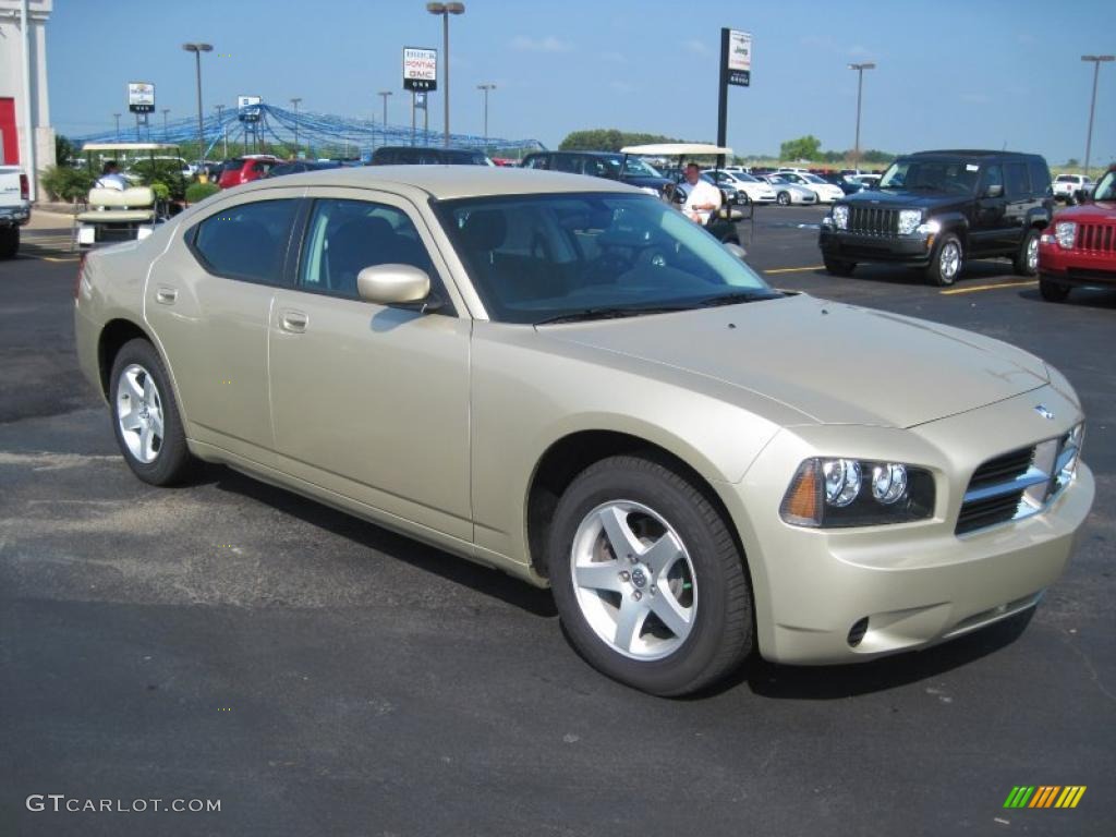 2010 Charger SE - White Gold Pearl / Dark Slate Gray photo #3