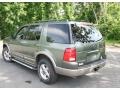 2002 Estate Green Metallic Ford Explorer Eddie Bauer 4x4  photo #8