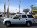 Moondust Metallic - TrailBlazer LS 4x4 Photo No. 2