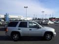Moondust Metallic - TrailBlazer LS 4x4 Photo No. 6