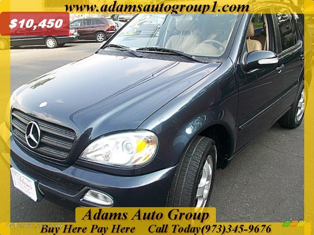 2002 ML 320 4Matic - Black Opal Metallic / Java photo #1