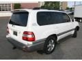 Natural White - Land Cruiser  Photo No. 6