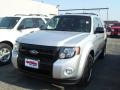 2010 Ingot Silver Metallic Ford Escape XLT  photo #1