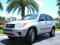 Titanium Metallic - RAV4  Photo No. 2