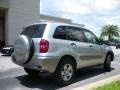 2005 Titanium Metallic Toyota RAV4   photo #6