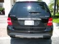 Black - ML 350 4Matic Photo No. 7