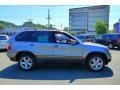 Sterling Grey Metallic - X5 3.0i Photo No. 2