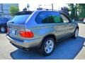 Sterling Grey Metallic - X5 3.0i Photo No. 5