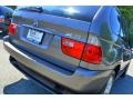 Sterling Grey Metallic - X5 3.0i Photo No. 7