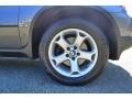 Sterling Grey Metallic - X5 3.0i Photo No. 17