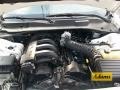 Cool Vanilla - Charger SE Photo No. 26