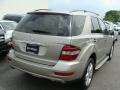 2009 Pewter Metallic Mercedes-Benz ML 350 4Matic  photo #4