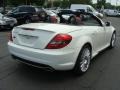 2010 Arctic White Mercedes-Benz SLK 350 Roadster  photo #5