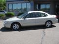 2006 Silver Frost Metallic Ford Taurus SE  photo #2