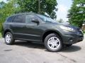 2010 Black Forest Green Metallic Hyundai Santa Fe GLS  photo #1