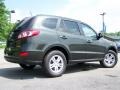 2010 Black Forest Green Metallic Hyundai Santa Fe GLS  photo #7