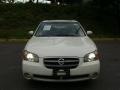 Glacier White Pearl - Maxima SE Photo No. 23