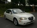 Glacier White Pearl - Maxima SE Photo No. 24