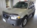 2005 Gold Ash Metallic Ford Escape XLT V6 4WD  photo #2