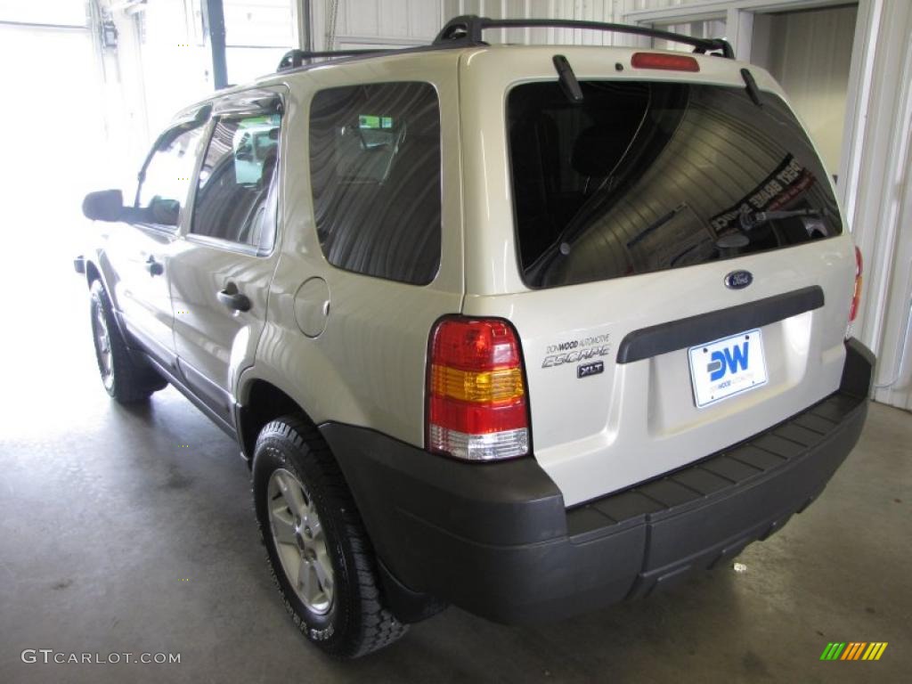 2005 Escape XLT V6 4WD - Gold Ash Metallic / Medium/Dark Pebble Beige photo #6