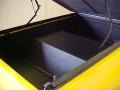 Flame Yellow - S10 Extended Cab Photo No. 19