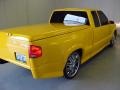 2002 Flame Yellow Chevrolet S10 Extended Cab  photo #23
