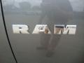 2010 Mineral Gray Metallic Dodge Ram 1500 Big Horn Crew Cab  photo #15