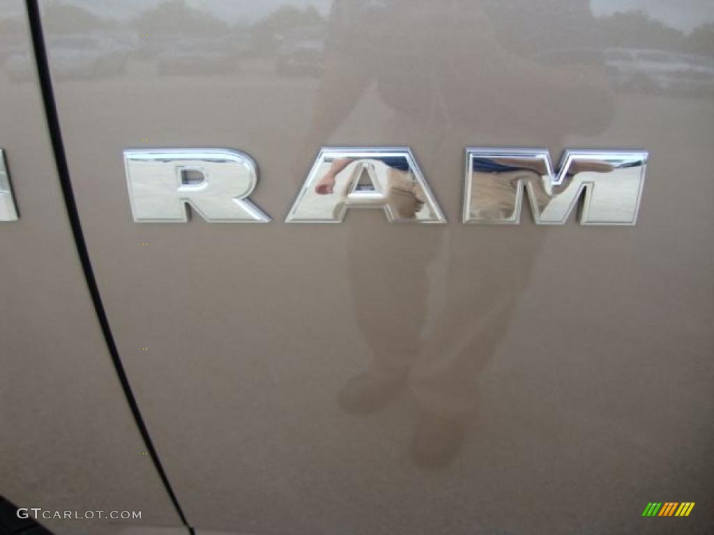 2010 Ram 1500 Big Horn Quad Cab - Austin Tan Pearl / Dark Slate/Medium Graystone photo #17