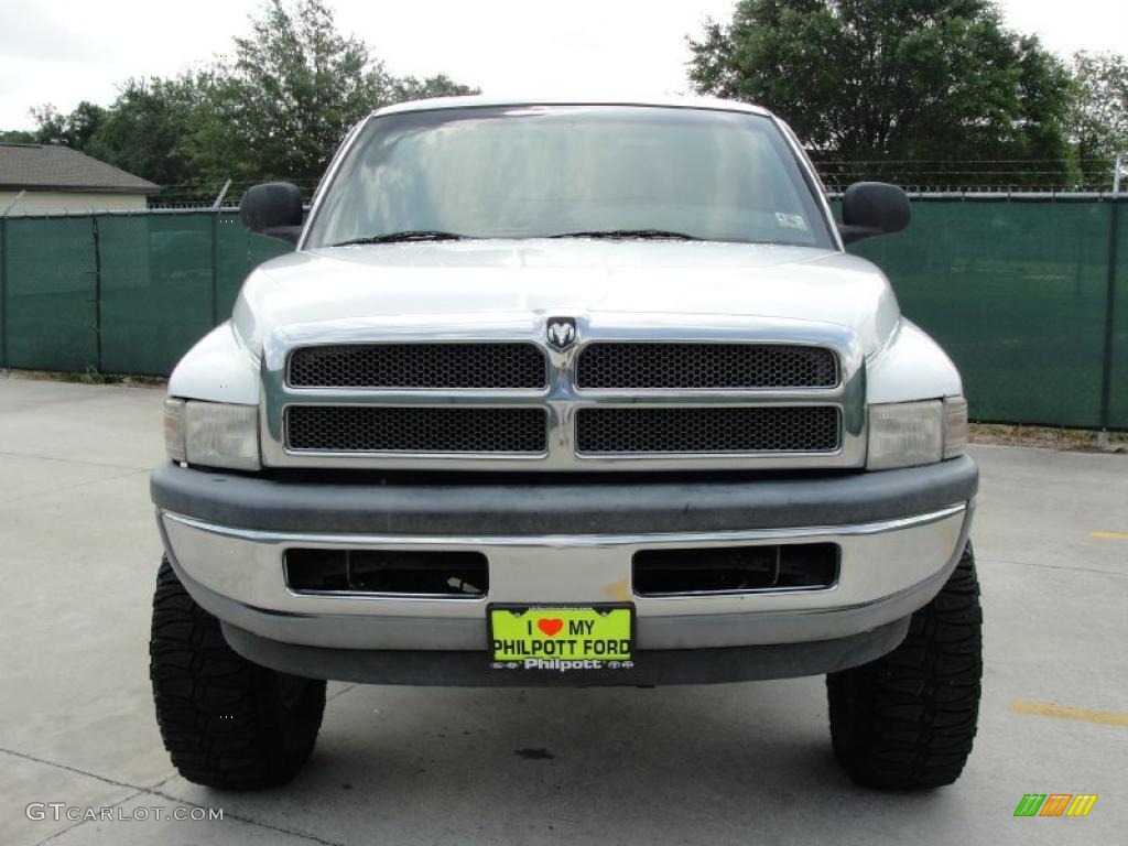 1999 Ram 1500 ST Regular Cab 4x4 - Bright White / Mist Gray photo #8